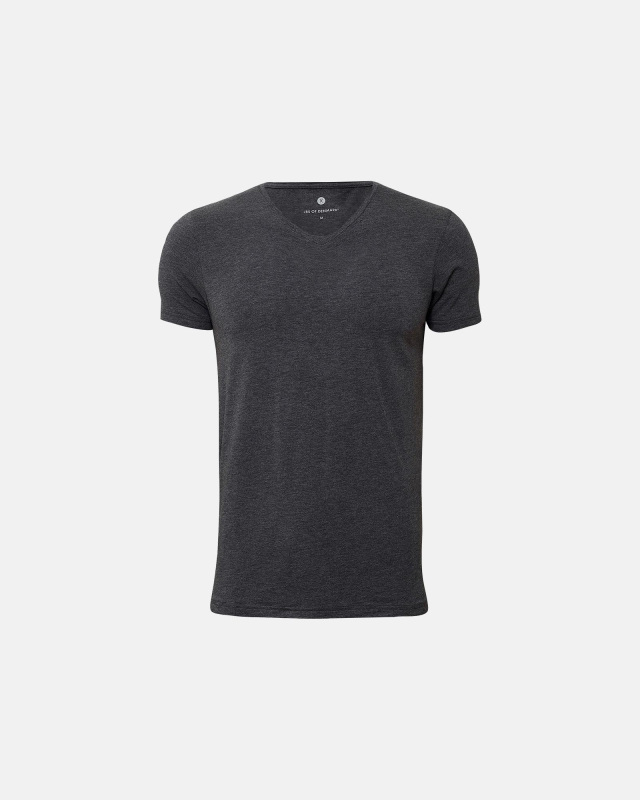 Bambusviskose, T-Shirt V-neck, Grau -JBS of Denmark Men